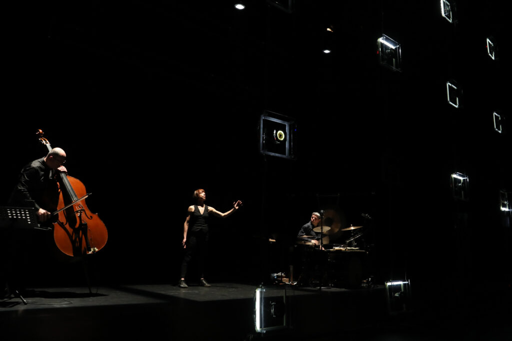 Hervé Birolini création