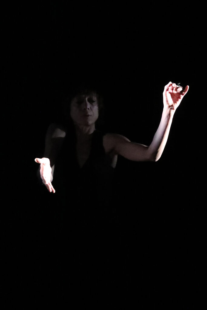 Hervé Birolini création