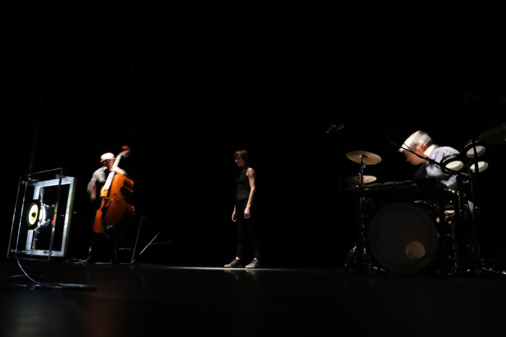 Hervé Birolini création