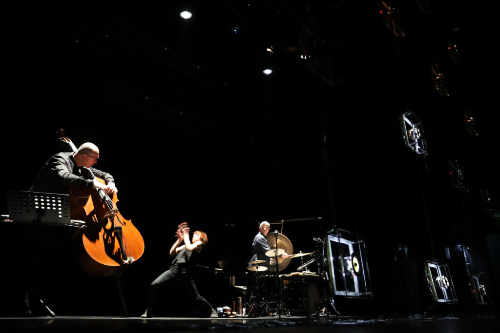 Hervé Birolini création